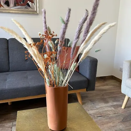 Lägenhet Tres Bel A Ajaccio (Corsica)