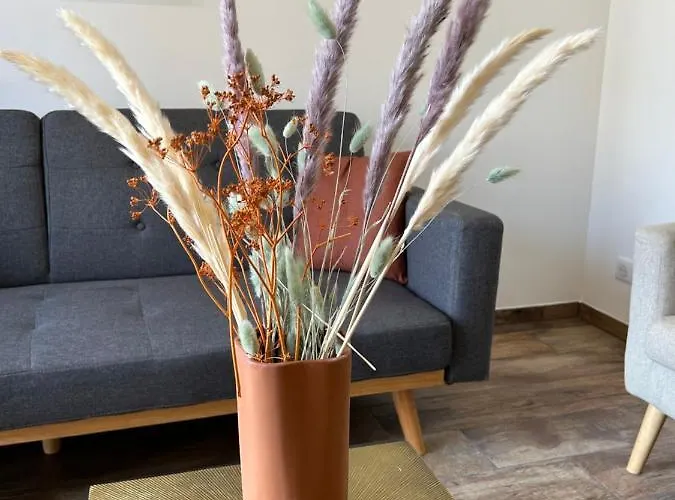 公寓 Tres Bel A 阿雅克肖